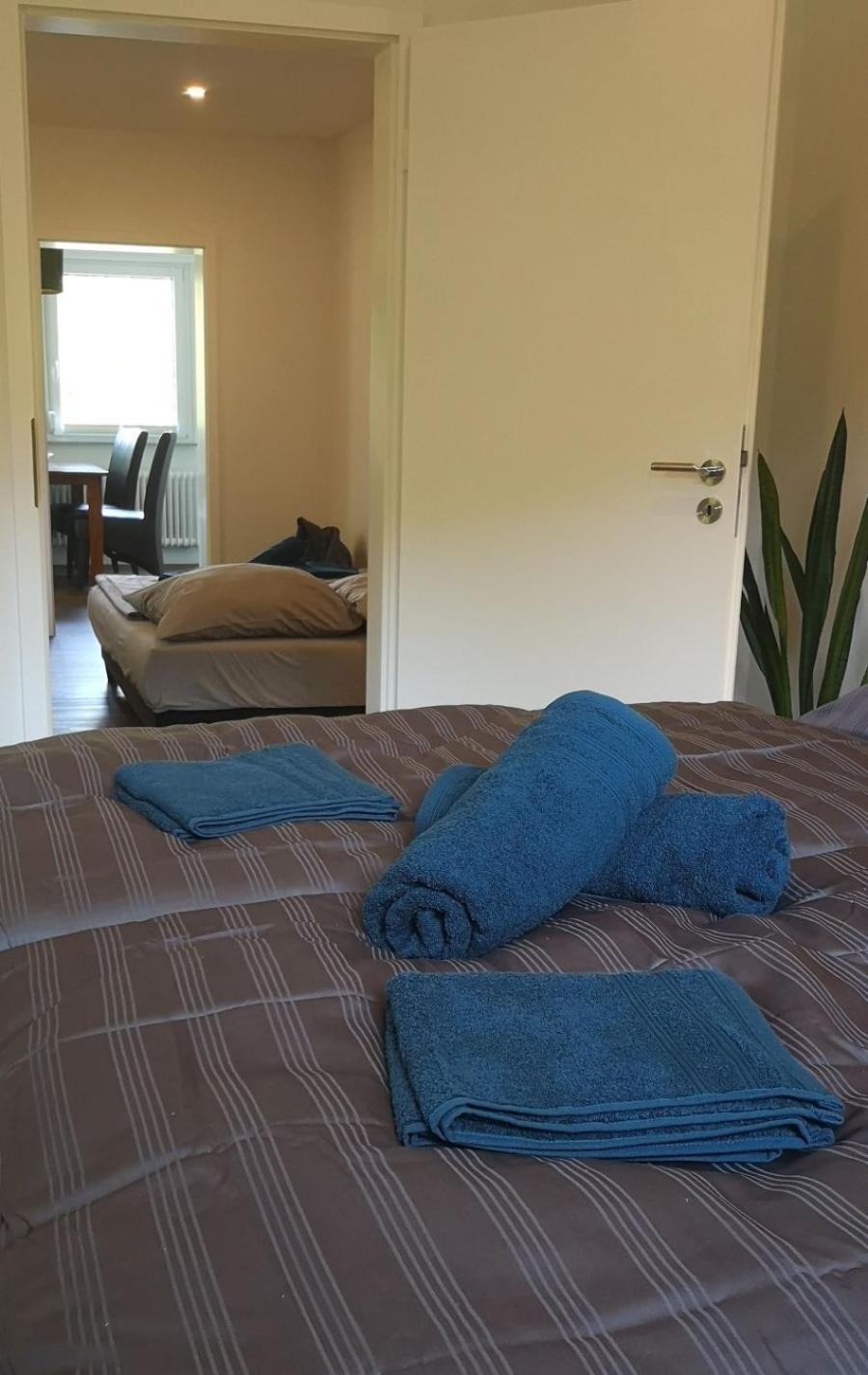 Niederwald Apartment อิฟเฟซไฮม์ ภายนอก รูปภาพ