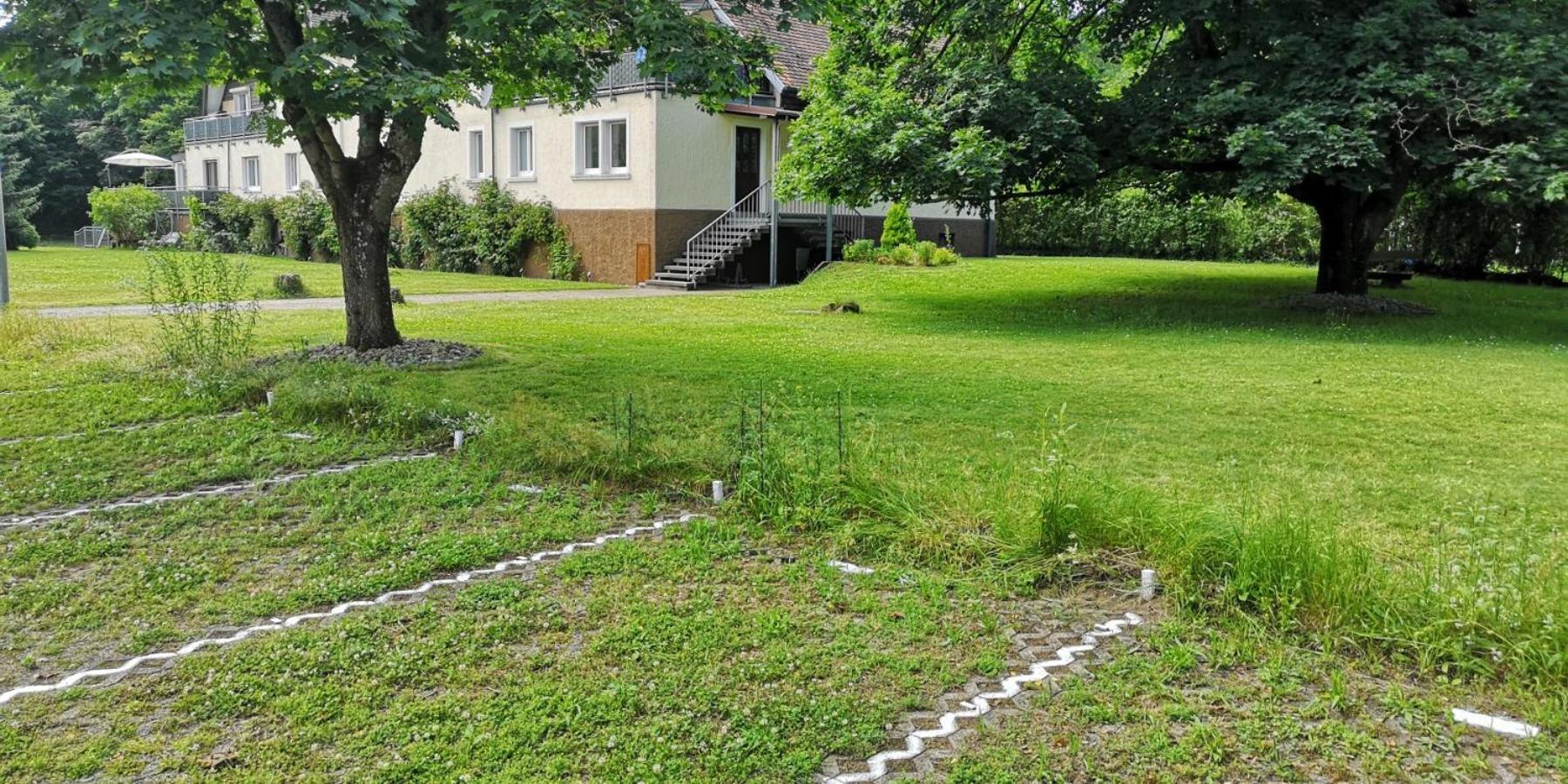 Niederwald Apartment อิฟเฟซไฮม์ ภายนอก รูปภาพ