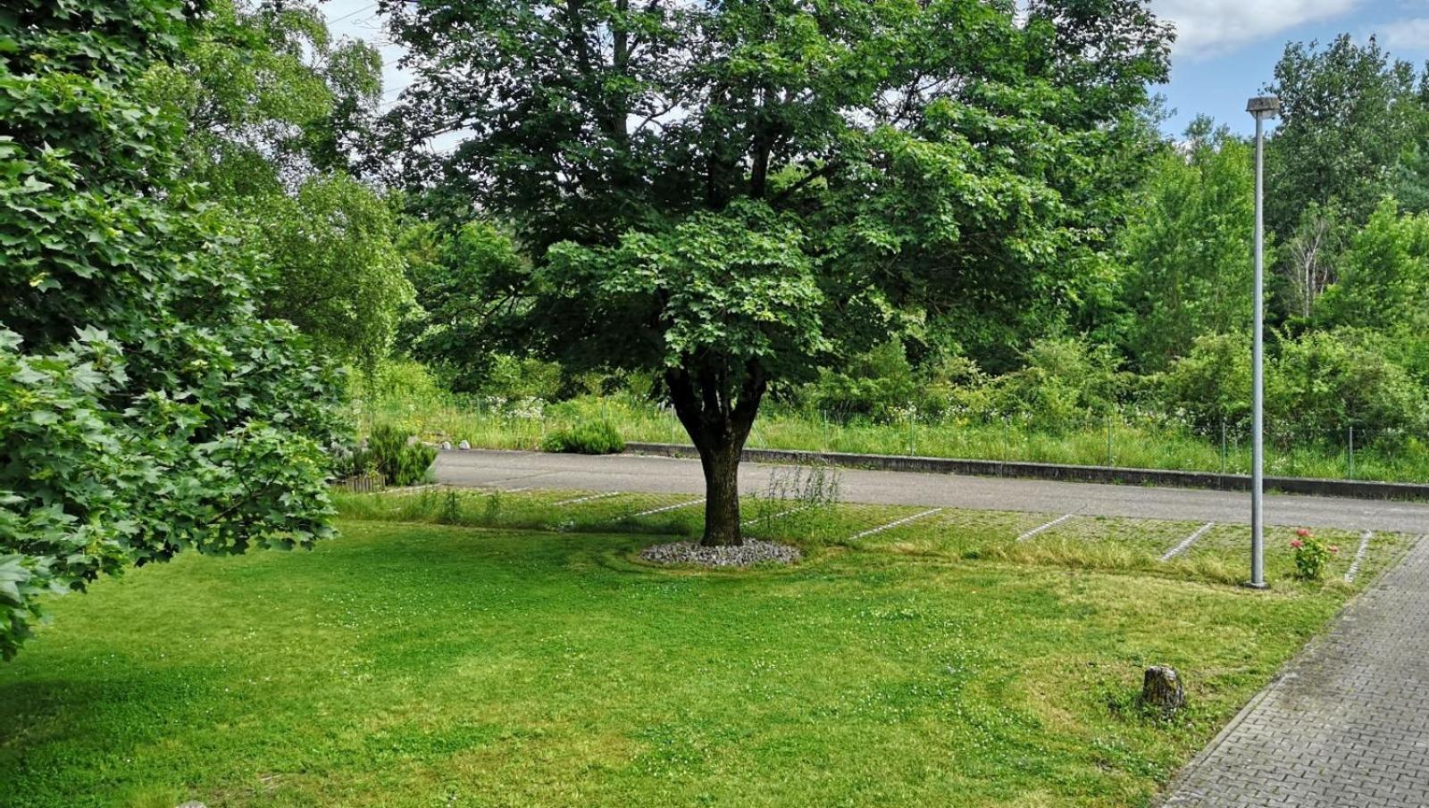 Niederwald Apartment อิฟเฟซไฮม์ ภายนอก รูปภาพ
