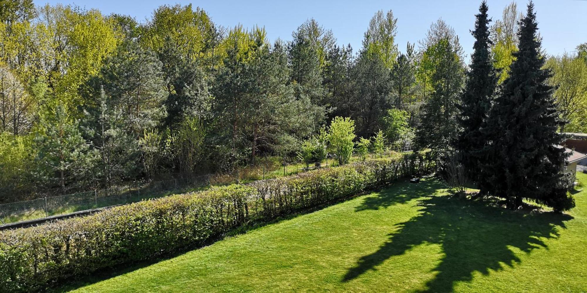Niederwald Apartment อิฟเฟซไฮม์ ภายนอก รูปภาพ