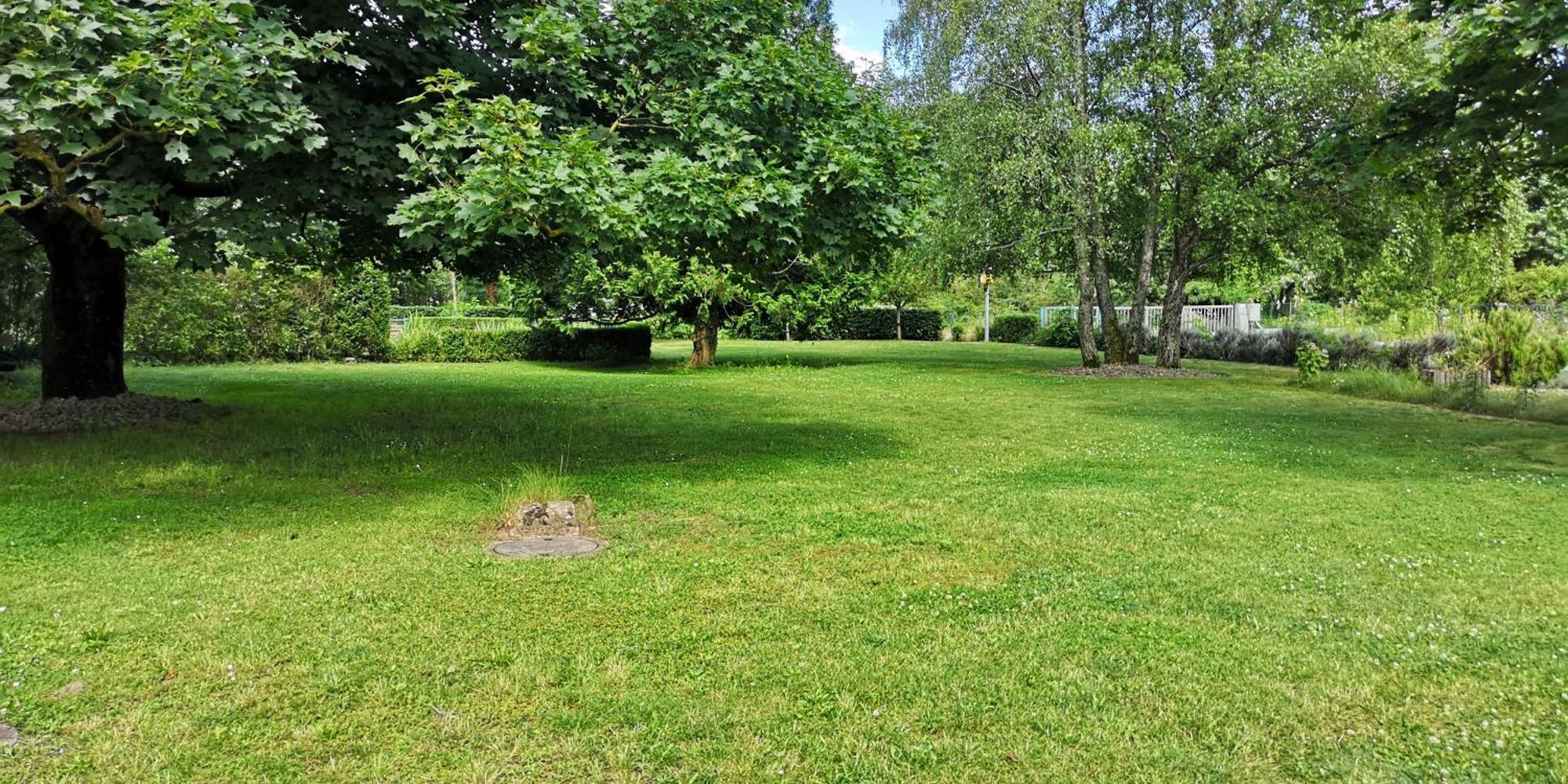 Niederwald Apartment อิฟเฟซไฮม์ ภายนอก รูปภาพ